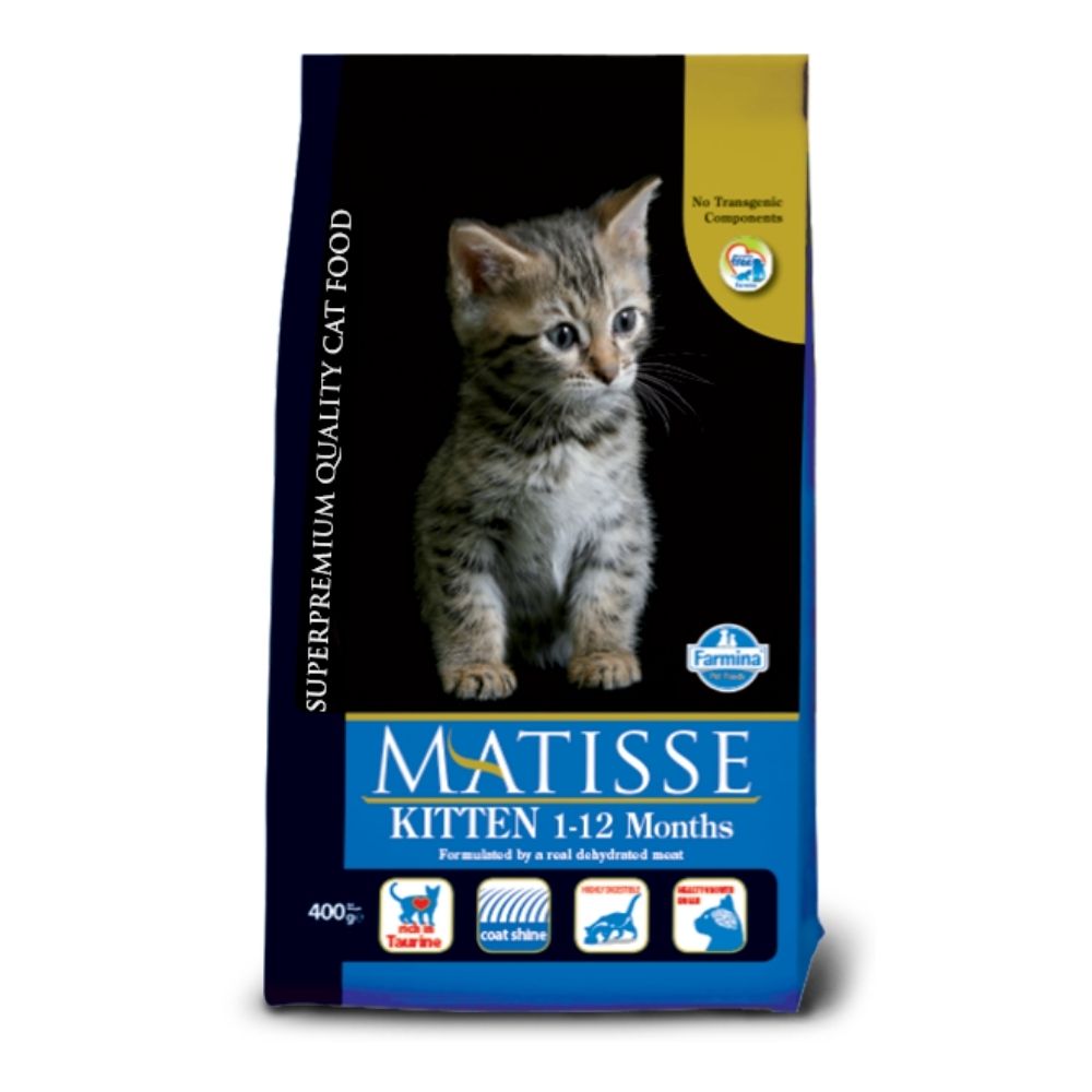lovecats farmina matisse kitten